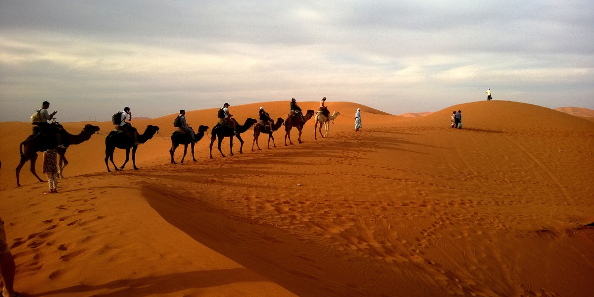 Evening Desert Safari Dubai Booking