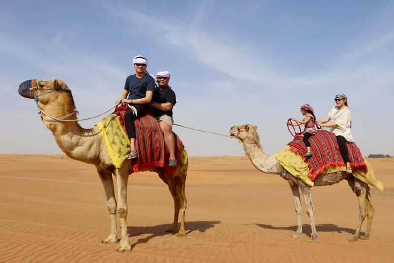 Camel Trekking with Dinner - Private Car