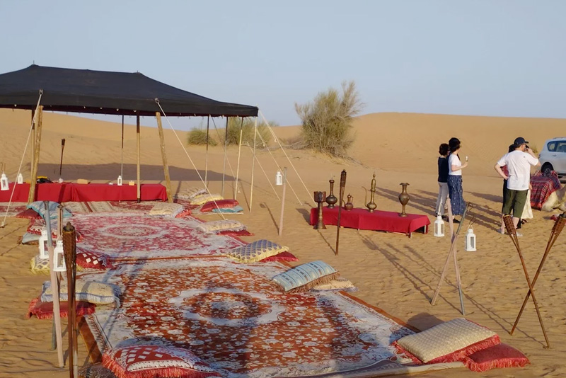 Desert Safari with Private Dinner Setup - Private Car