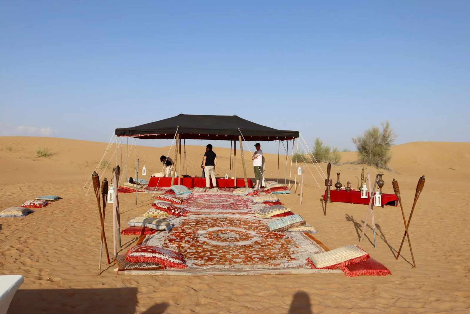 Desert Safari with Private Dinner Setup - Private Car
